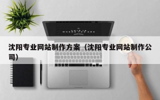 平湖沈阳专业网站制作方案（沈阳专业网站制作公司）